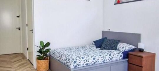 Modern & Convenient Studio