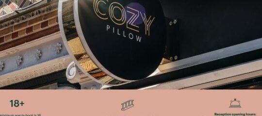 Cozy Pillow