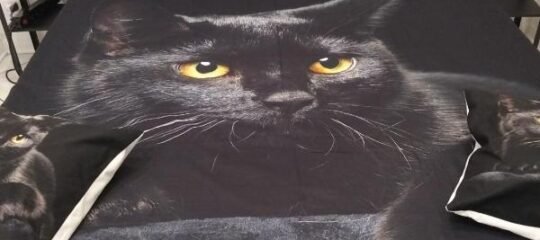 Il covo del gattonero