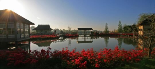 De Bronsbergen Wellness&Hotel | Ontsnap de dagelijkse drukte met een wellnessverblijf aan het water | incl. 2-gangenlunch