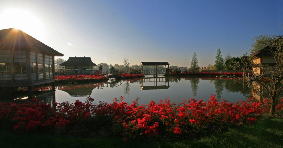 De Bronsbergen Wellness&Hotel | Ontsnap de dagelijkse drukte met een wellnessverblijf aan het water | incl. 2-gangenlunch