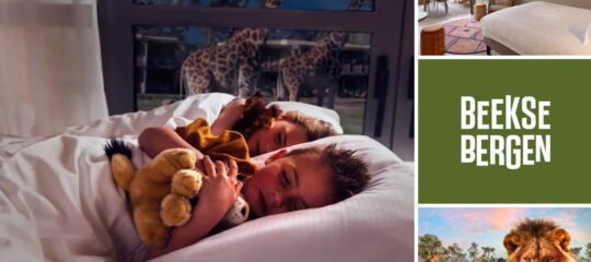 Safari Hotel Beekse Bergen | Verblijf 3 dagen in bijzonder hotel met uitzicht op savanne (2-5 personen) | incl. dagelijks toegang Safaripark Beekse Bergen