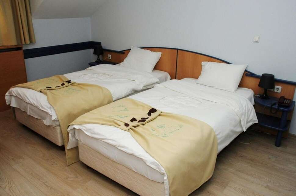 Hotel Tomce Sofka - Vlucht + hotel Skopje