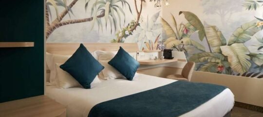 Hotel Apolonia Montmartre - Vlucht + hotel Parijs