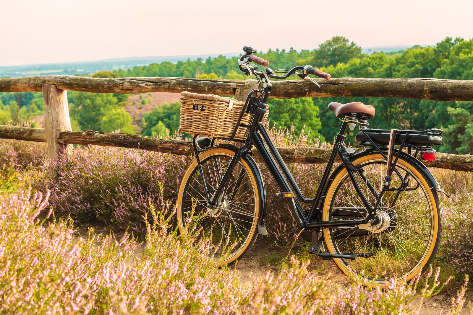 Buitenplaats Bergse Bossen | Geniet 4 dagen van natuur en stad | incl. 3-gangendiner