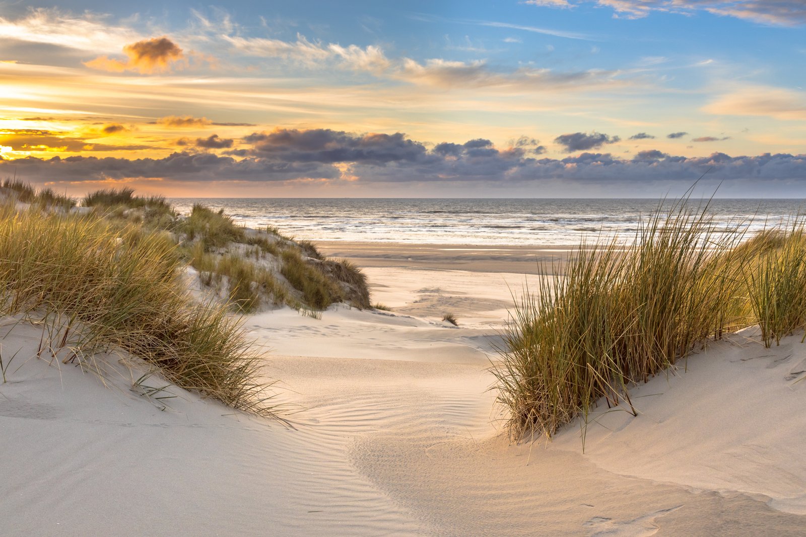 City Hotel Terneuzen | Minivakantie: Verken & Beleef Zeeland in 4 dagen
