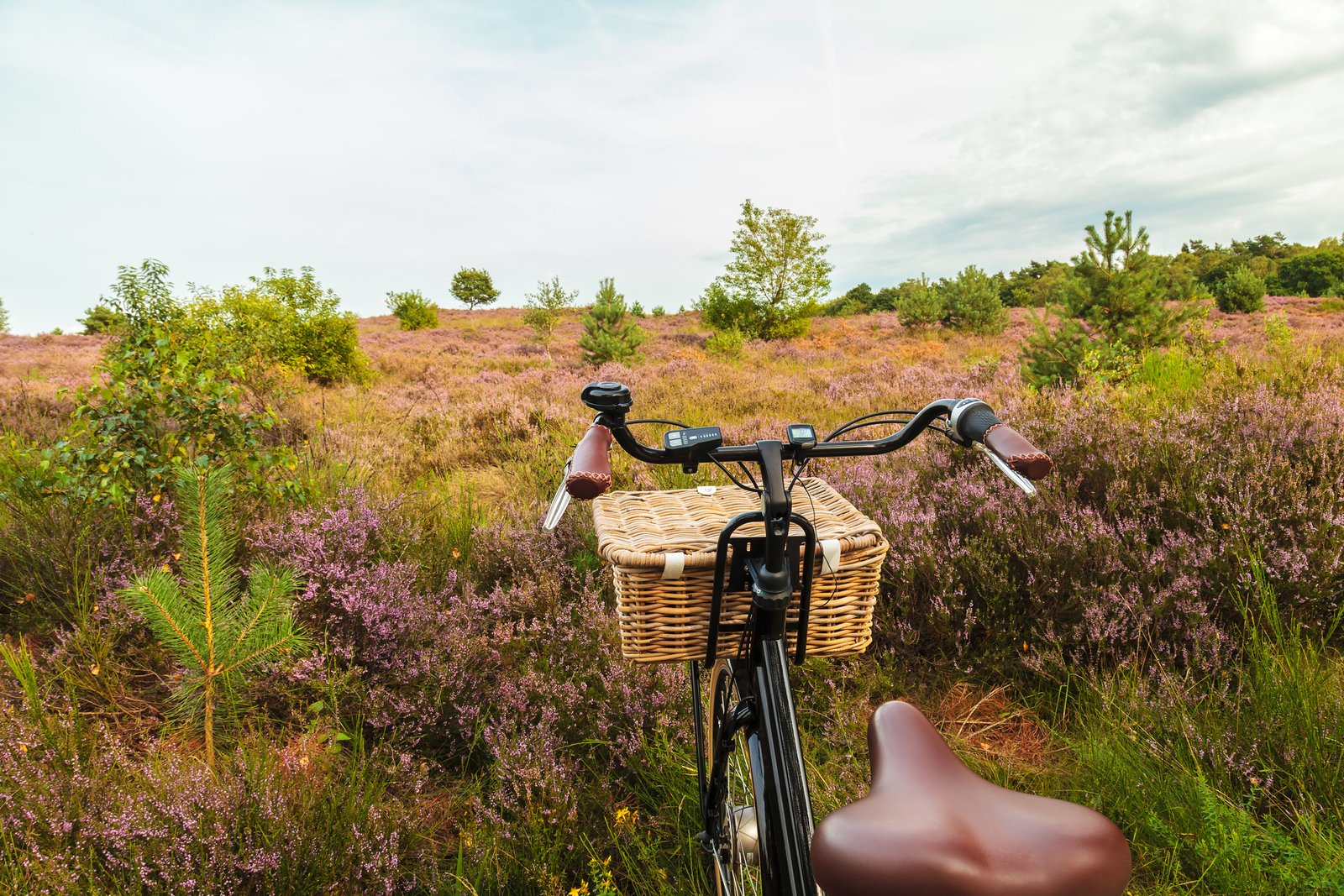 Hotel Oringer Marke & Stee | Beleef de prachtige natuur van Drenthe | incl. 3-gangendiner