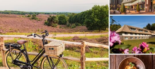Fietsvakantie 2026 | 5-Daagse fietsvakantie Salland & Twente: Raalte - Markelo | incl. dagelijks 3-gangendiner