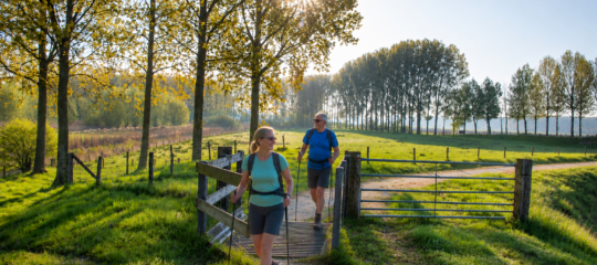 Churchill Hotel Terneuzen | Ontdek Zeeuws-Vlaanderen tijdens een 4-daagse wandelvakantie | incl. 3-gangendiner (2 avonden)
